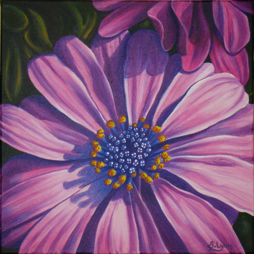 Purple Daisy